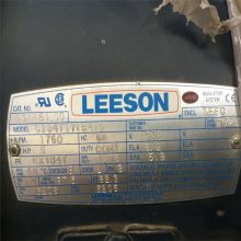 LESSONֱŵ綯1/25 HP ͺY384086