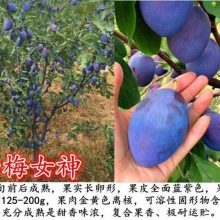 硢÷ŮعӦ