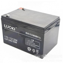 LUOKIMPC-1224CH 12V24AHݻUPS/EPS