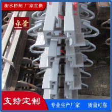 公路桥梁伸缩缝 异型钢C8 F型生产 桥闸支持定制 量大从优