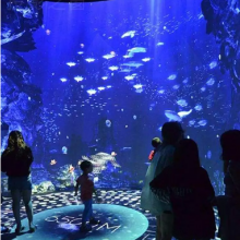 360ʽͶӰϵͳ_ʽͶӰ_˸