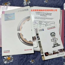 SKFʷ ͲעͲ Ӣ Cooperʷ COP.02EB200EX