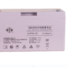 ˫6-GFM-120(C10)12V120AHʽܱ
