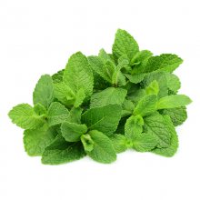 薄荷提取物 绿薄荷粉 药食同源薄荷原料提取 全水溶薄荷比例提取 薄荷浓缩粉10：1