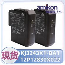 DeltaV MX VE300PLCɱ̿ʡֱ