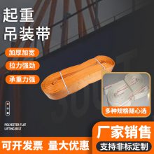 力夫特 白色吊装带 耐酸吊带 酸洗钝化用尼龙吊绳