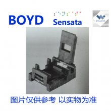 646-4362315BOYD/SENSATA/WELLS-CTI/QINEX CSSOP-36-0.635