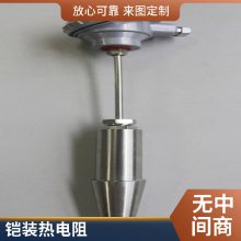 斯美特一体化铠装温度传感/温度变送器/PT100、4-20MA WZP-231
