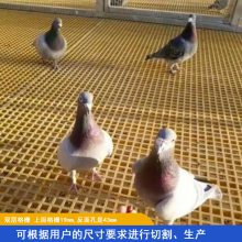 德州方形孔格网价格 玻璃钢地网 鸽子窝地格网