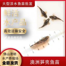 ̩糡ֱ-ܶ-۳-ֳ