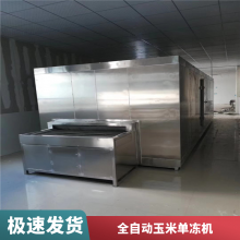 定制高效板带速冻机 TYW-350/550 休闲食品厂设备 SUS304不锈钢