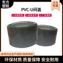 PVC-U闷盖 工业化工管件给水排水管堵封头多规格塑料配件pvc闷盖
