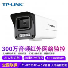 TP-LINK TL-IPC534E-W8 300Ͳ Ƶ˫