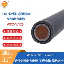 松岗金环宇电线电缆 wdz-yjy23 1*25带铠装低烟无卤电力电缆 寄样
