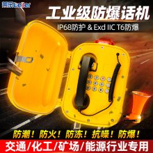 IPʹIP67ȼ