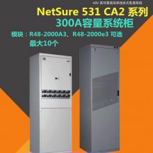 άNetSure531CA2-Y3ֱ48VӦͨѶԴ豸