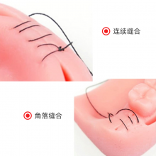 Ʒϰģ ҽѧѵ轺ģ ǻģ