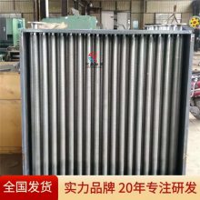 融洋 SRL型翅片管对流散热器 余热回收用立式耐用大口径烟气型