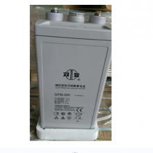 ˫ ܱʽǦ GFM-300 (C10)