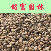 深圳别墅用鹅卵石铺路一方？广东鹅卵石一方是？5