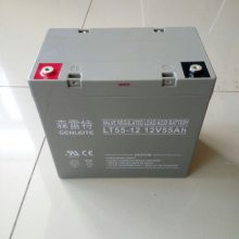 ӦɭLT200-12 12V200AH  糧ô