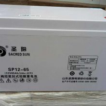 ʥSP12-38 ά 12V38AH/20HR ֱ UPSԴ