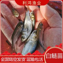 硿   ˮ ֳ ҵ