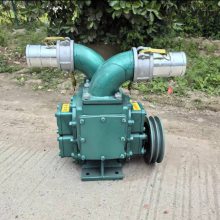 污水泵 家用化粪池抽粪泵 220V水泵家 用抽水潜水泵