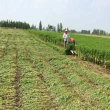 绵阳80年代小麦收割机 整齐一边倒牧草收割机展华机械