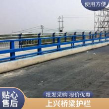 河北安平款式新颖园林景观用桥梁护栏 镀锌喷塑防冲击多种规格