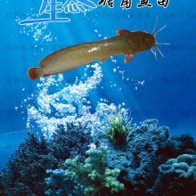  磬繩Ӧ Ǯ