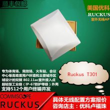 ſT301sⶨAP Ruckus T301ſ901-T301-WW51AP