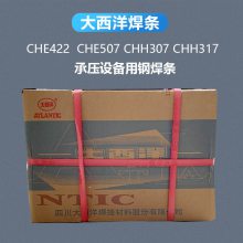  CHN317 Ni307-1 Ni307-1 ENi6062Ͻ