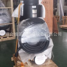 EBARA D`Serics Pump(EBARAǱˮ)