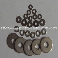 ӱƽ泧-4.8пƽȦ