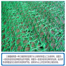 护坡土工网垫 植草土工防护网 坡防护专用