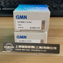 ¹GMNSM601417TXMP4UL