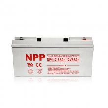 NPP NPG12-65 յ 12V65A EPS/UPSԴ̫ܵ