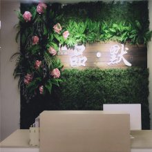 �ȼ�����ϲݷ����̻��������Ʊڹ�����ֲ��ٻ��ݱ���ǽ������ֲ