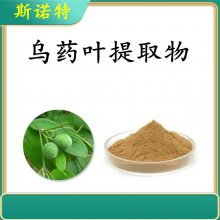 乌药叶提取物物 20:1 乌药叶粉 乌药浸膏 