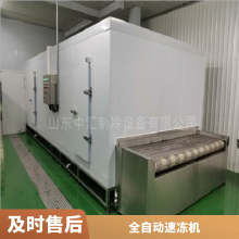定制高效板带速冻机 TYW-350/550 休闲食品厂设备 SUS304不锈钢