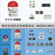 华荣智辉 防爆标志灯BAYD 24-36v 左向带电池 右向疏散灯