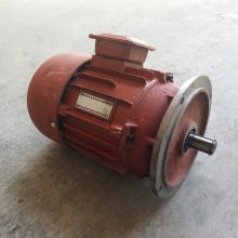 늄ӺJ늙C FDƄ늙C 늄ӺJ늙CZDY121--4 0.8KW