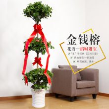 ҵ***ֲ ֲ 人̴԰