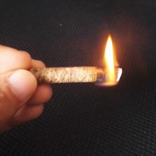 8mmľмȼϹ¯ȼ