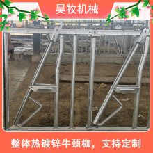 供应昊牧 加厚热镀锌管 自锁式牛颈夹 6米8位尺寸