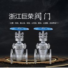 304,316LְբZ45W-10Pբ÷DN50,DN100