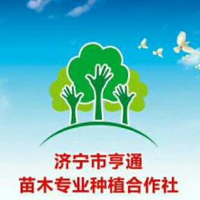 济宁市任城区亨通苗木种植专业合作社
