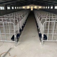 自动化喂猪设备料线养殖户***河北沧州供应自动化送料系统设计