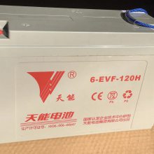 6-EVF-103 12v103AH ϴػ 綯ֳõƿ